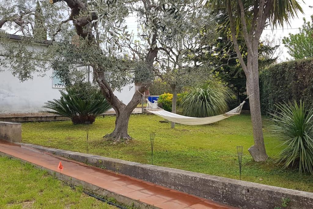 Countryhouse Gli Ulivi Modugno Dış mekan fotoğraf