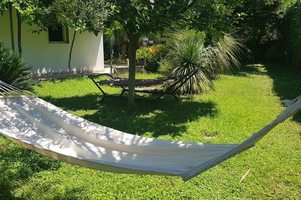Countryhouse Gli Ulivi Modugno Dış mekan fotoğraf