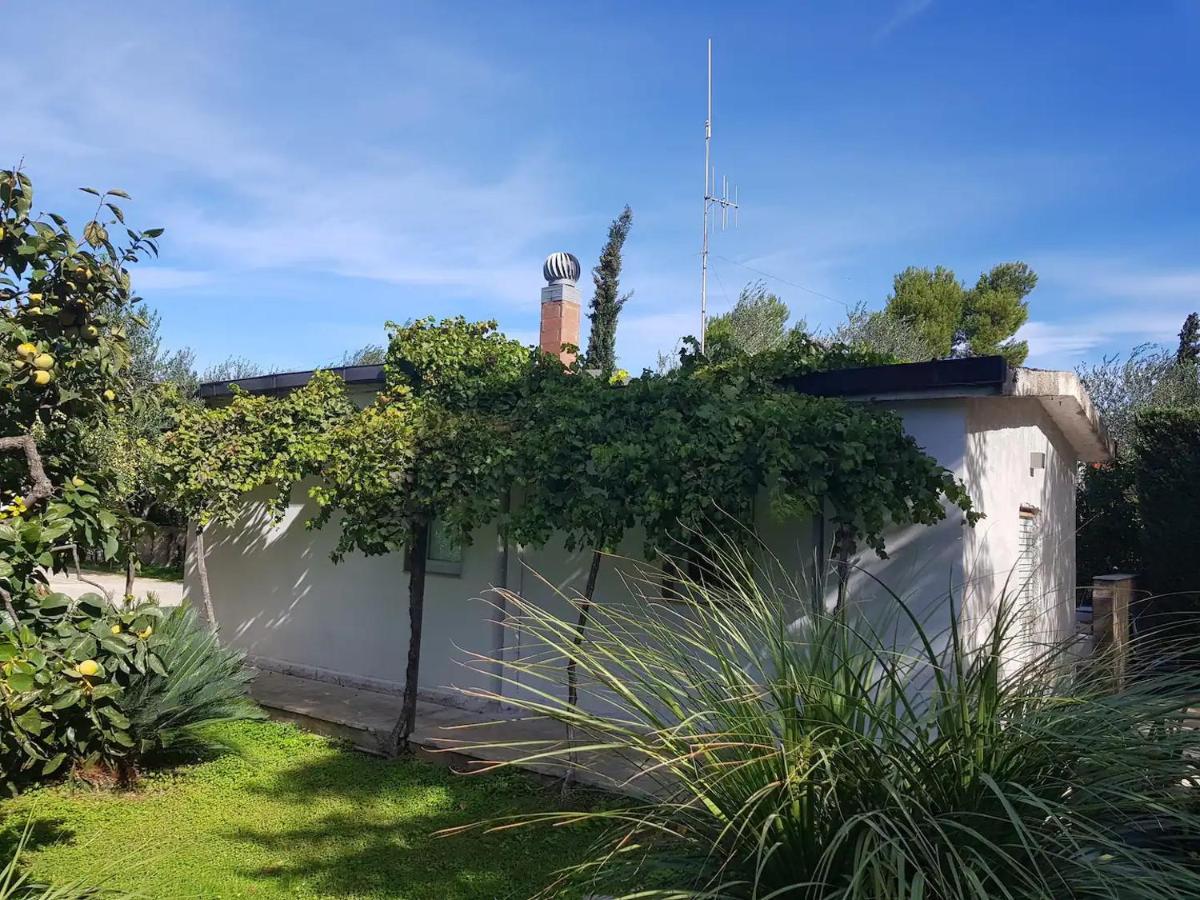 Countryhouse Gli Ulivi Modugno Dış mekan fotoğraf