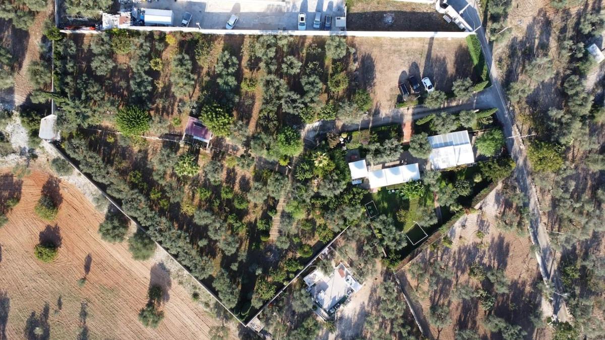 Countryhouse Gli Ulivi Modugno Dış mekan fotoğraf