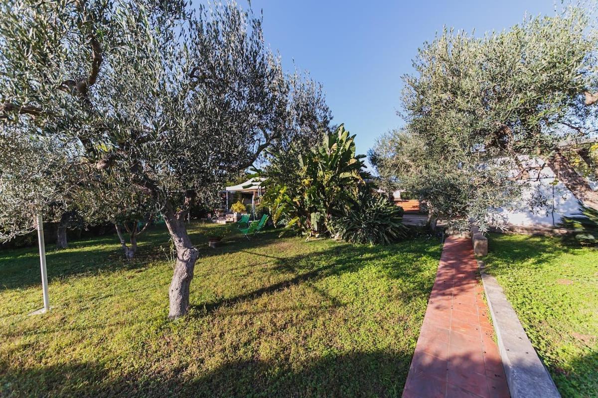 Countryhouse Gli Ulivi Modugno Dış mekan fotoğraf