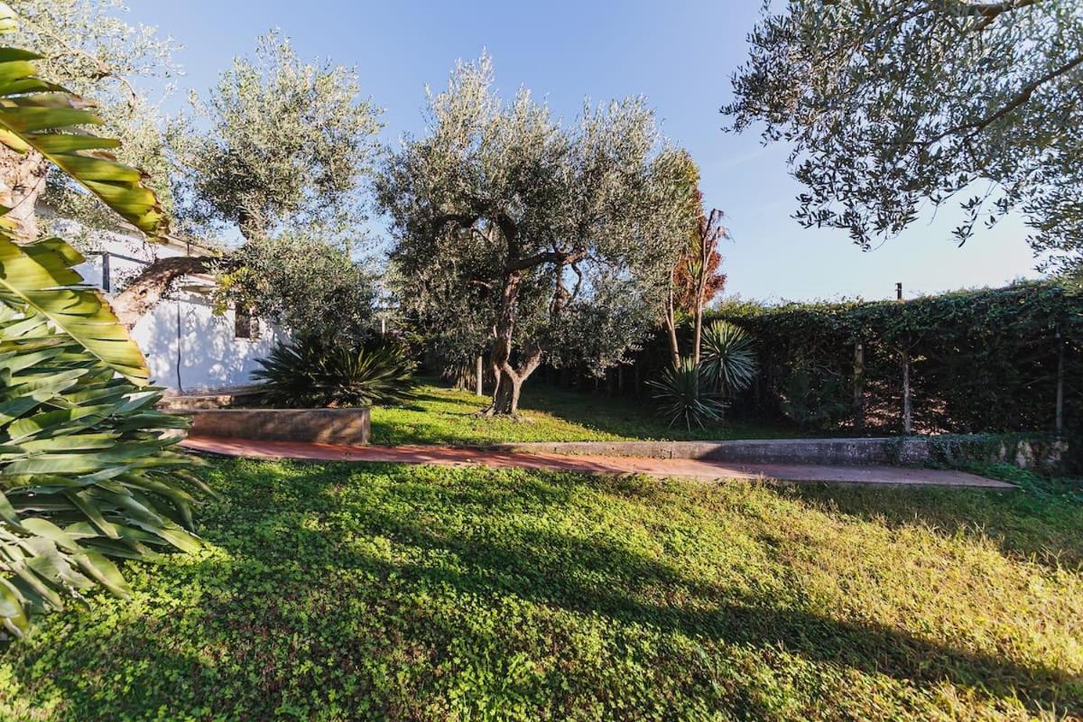 Countryhouse Gli Ulivi Modugno Dış mekan fotoğraf