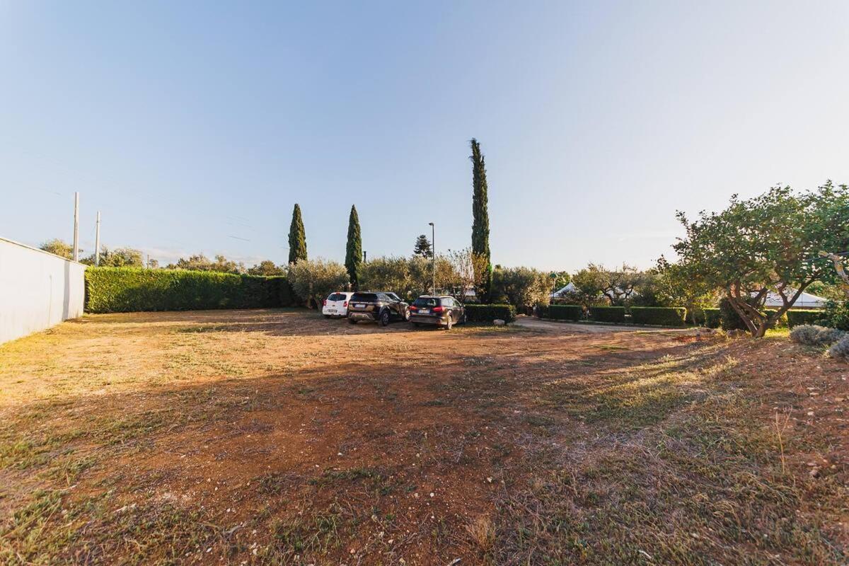 Countryhouse Gli Ulivi Modugno Dış mekan fotoğraf